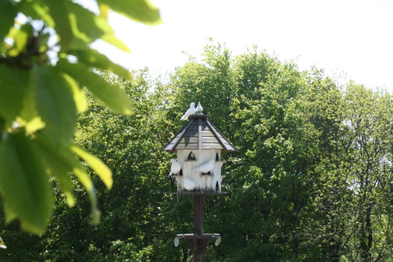 Cosy Barn On Rural Smallholding With Alpacas, Goats & Pigs Stithians Eksteriør bilde
